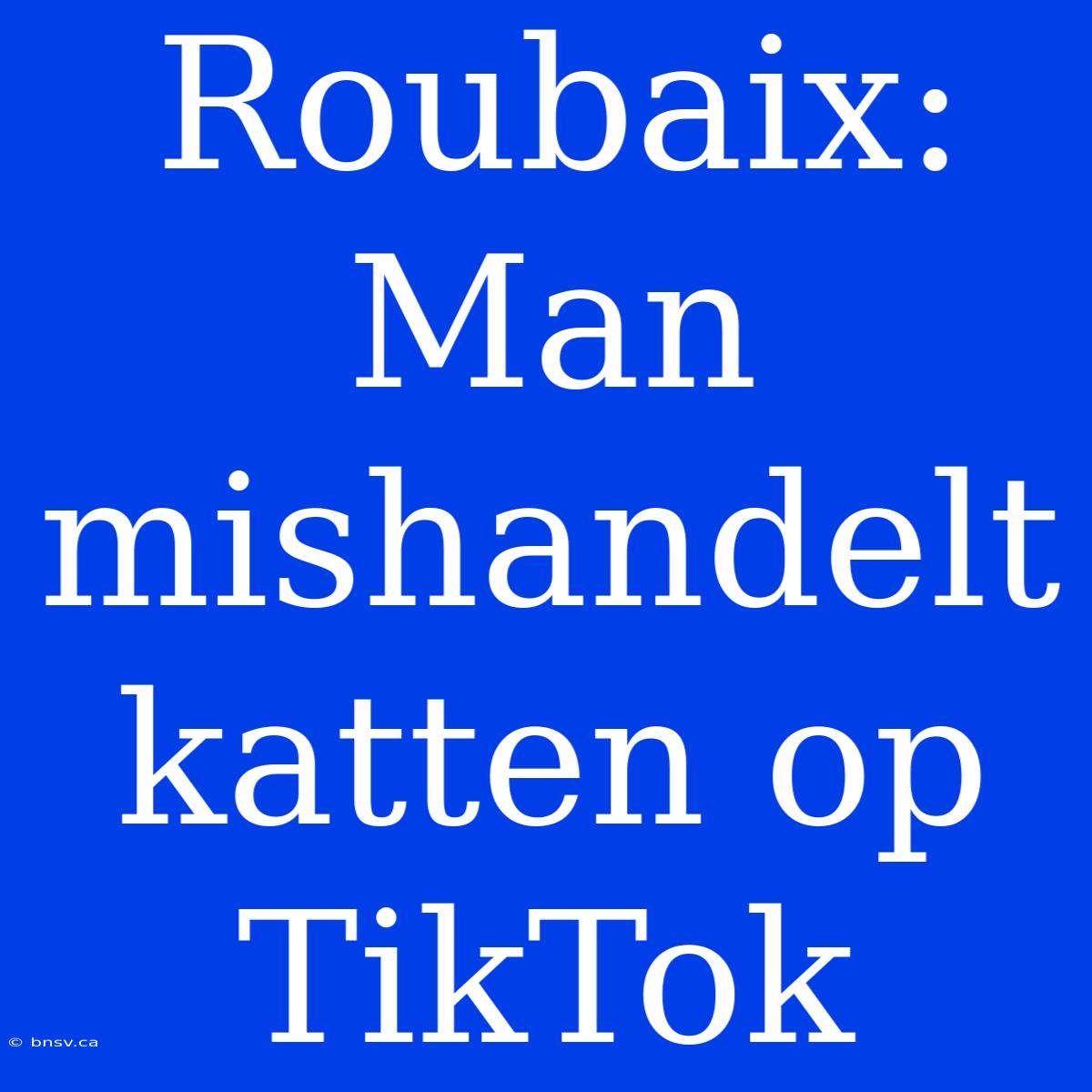 Roubaix: Man Mishandelt Katten Op TikTok