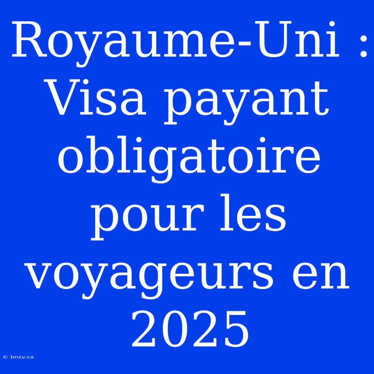 Royaume-Uni : Visa Payant Obligatoire Pour Les Voyageurs En 2025