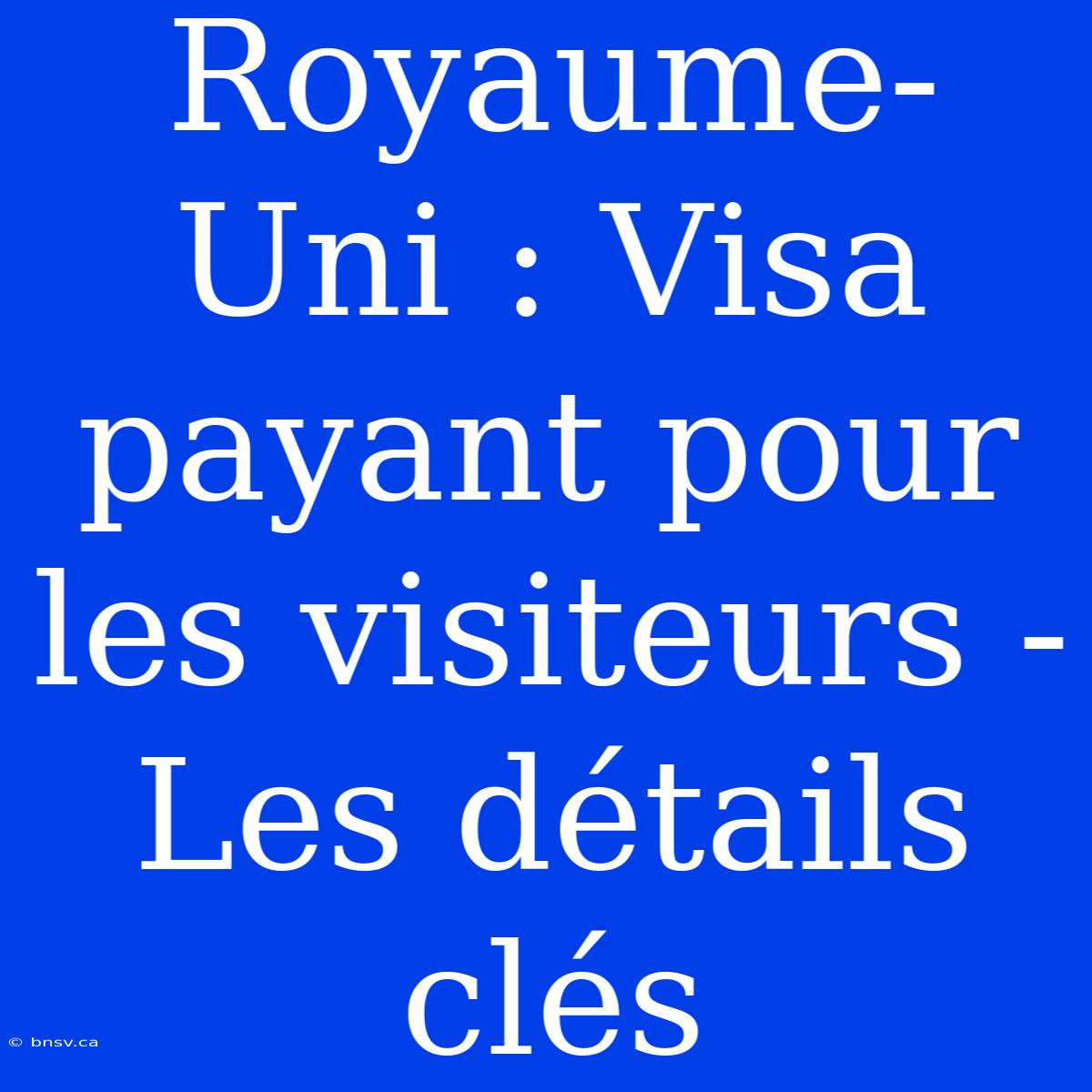 Royaume-Uni : Visa Payant Pour Les Visiteurs - Les Détails Clés