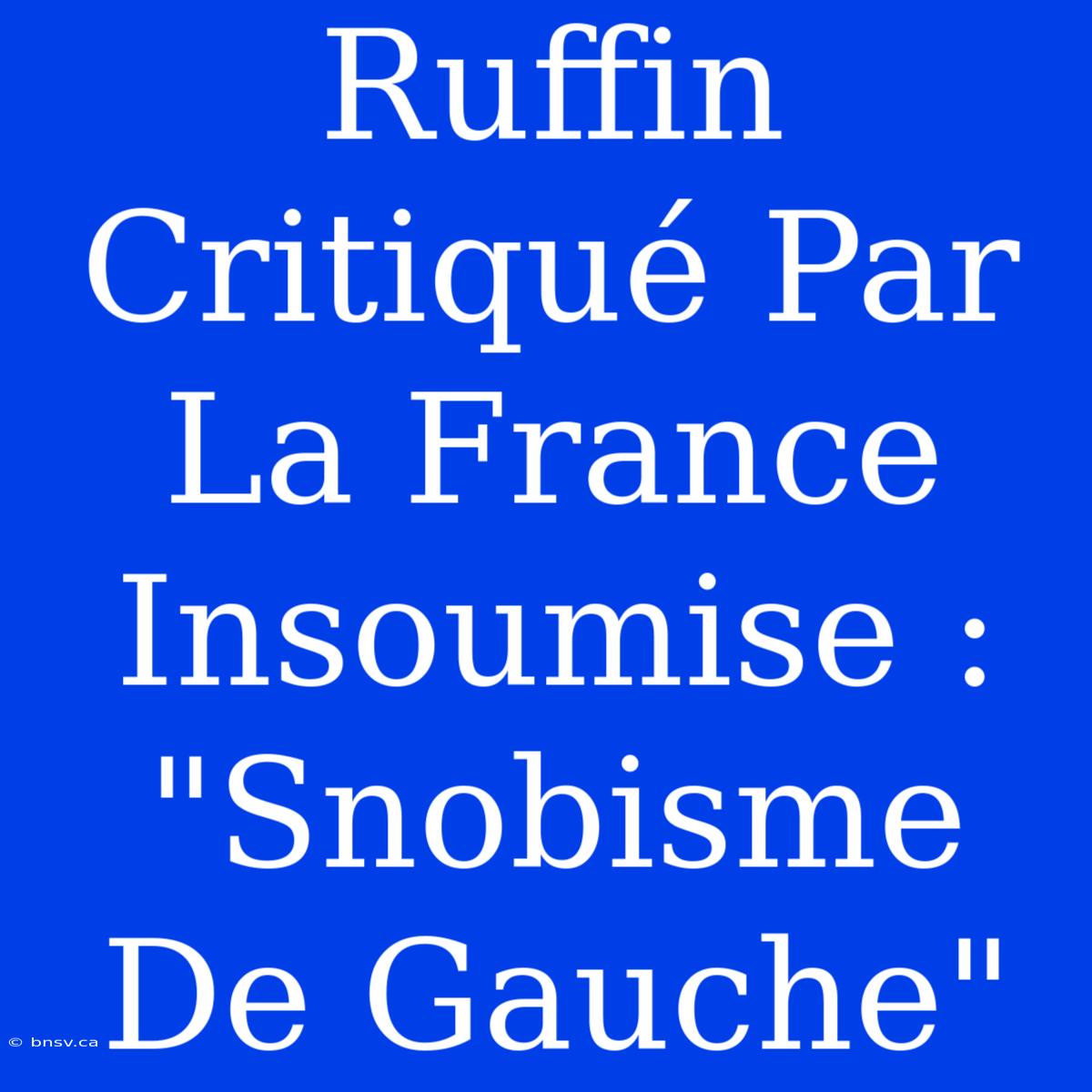 Ruffin Critiqué Par La France Insoumise : 