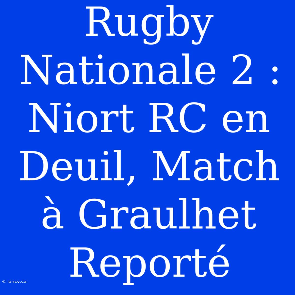 Rugby Nationale 2 : Niort RC En Deuil, Match À Graulhet Reporté