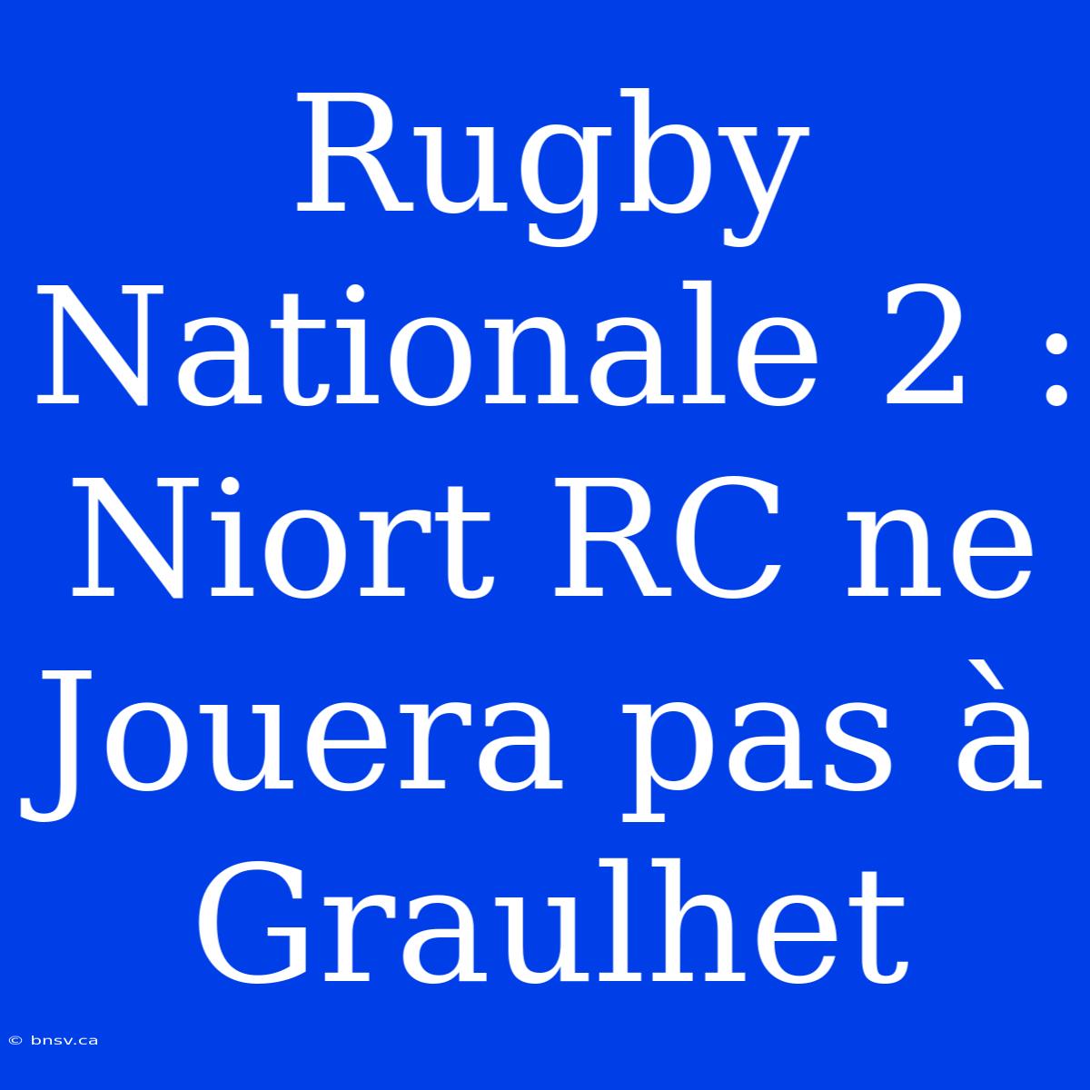 Rugby Nationale 2 : Niort RC Ne Jouera Pas À Graulhet