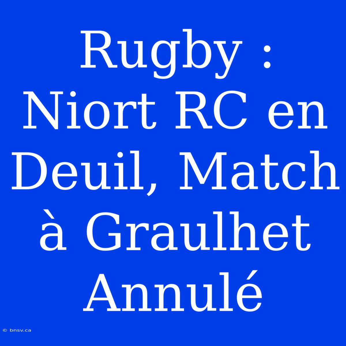 Rugby : Niort RC En Deuil, Match À Graulhet Annulé