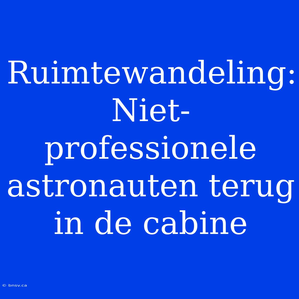 Ruimtewandeling: Niet-professionele Astronauten Terug In De Cabine