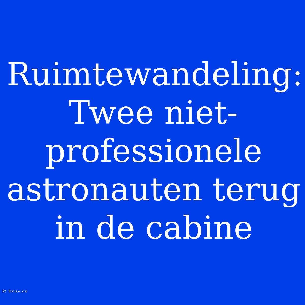 Ruimtewandeling: Twee Niet-professionele Astronauten Terug In De Cabine