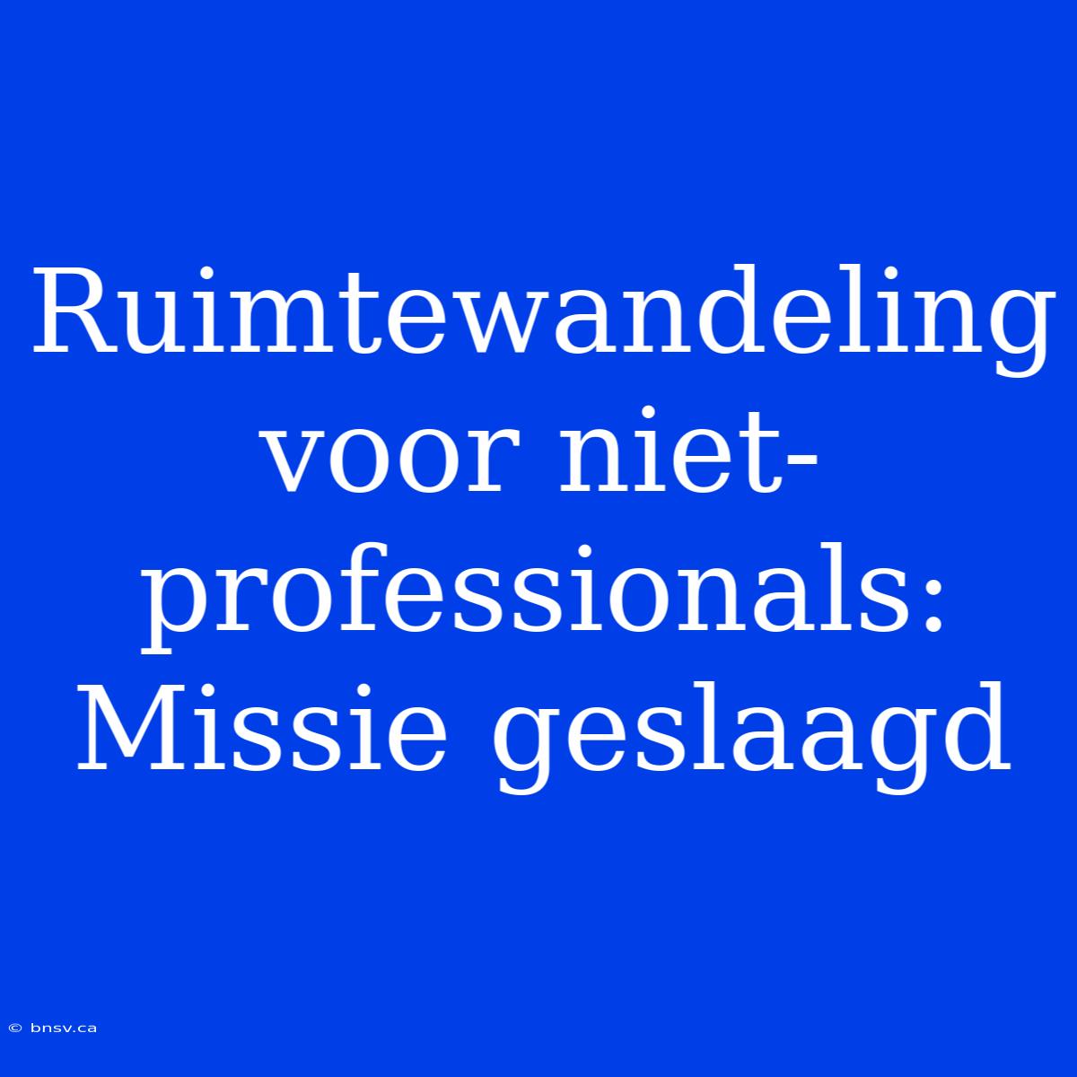 Ruimtewandeling Voor Niet-professionals: Missie Geslaagd