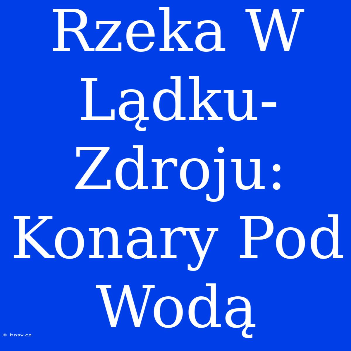 Rzeka W Lądku-Zdroju: Konary Pod Wodą