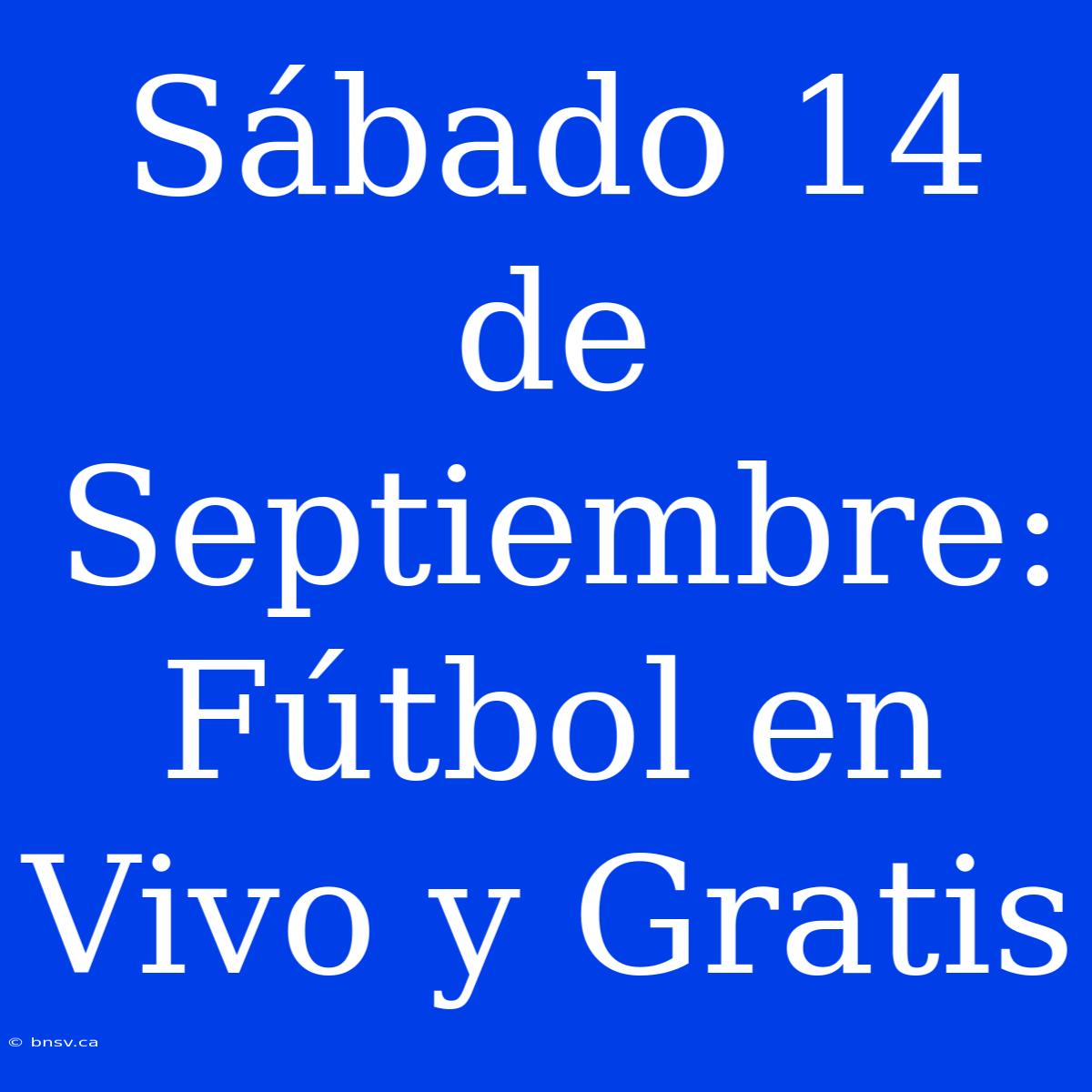 Sábado 14 De Septiembre: Fútbol En Vivo Y Gratis