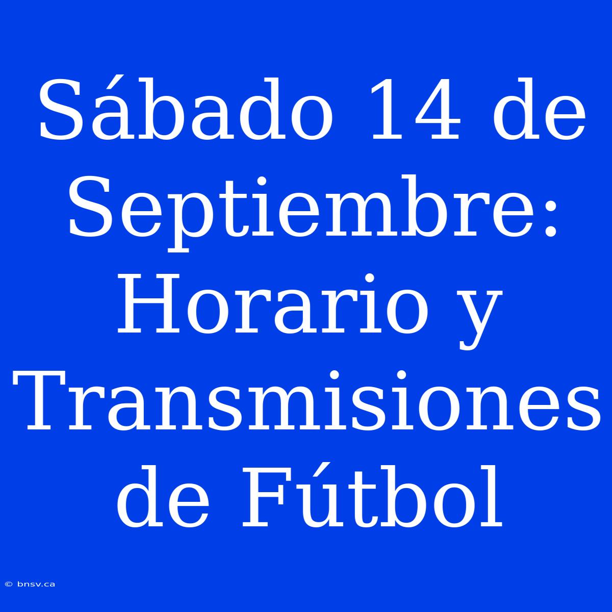 Sábado 14 De Septiembre: Horario Y Transmisiones De Fútbol