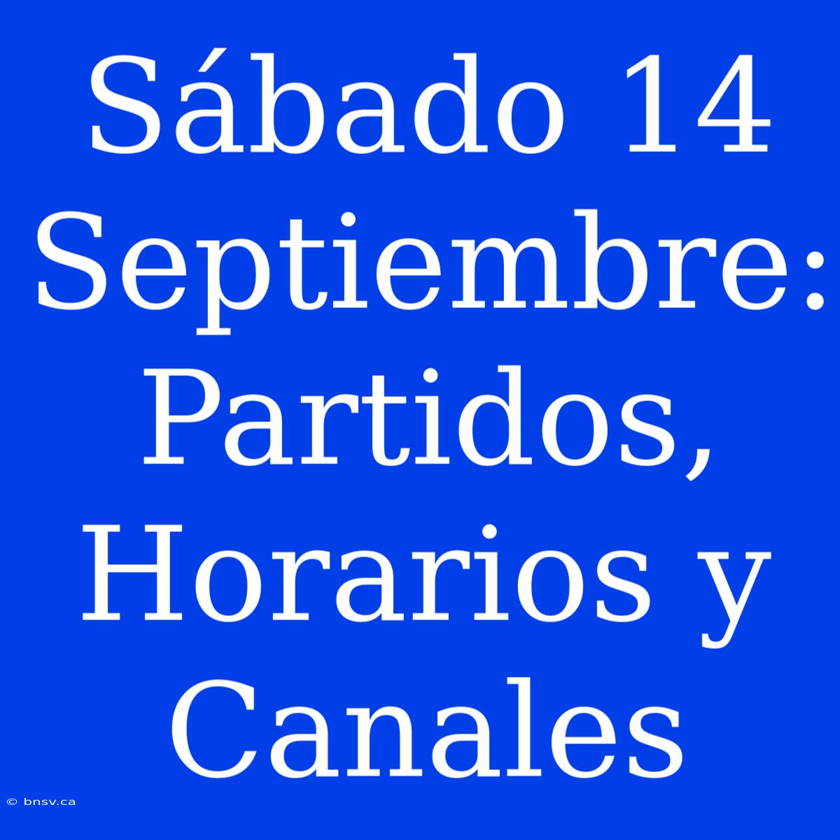 Sábado 14 Septiembre: Partidos, Horarios Y Canales