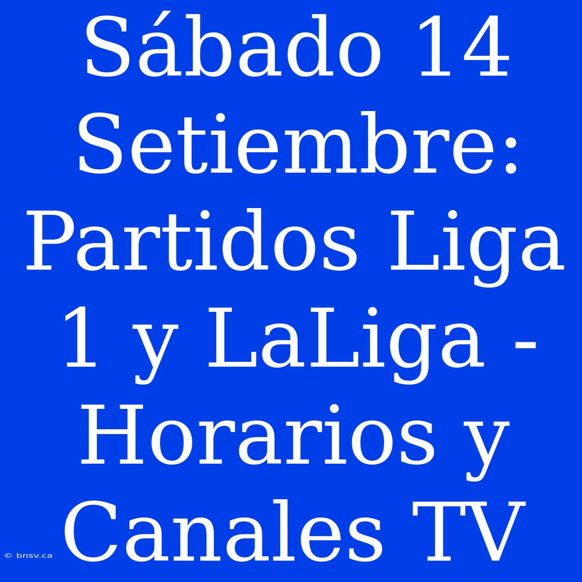 Sábado 14 Setiembre: Partidos Liga 1 Y LaLiga - Horarios Y Canales TV