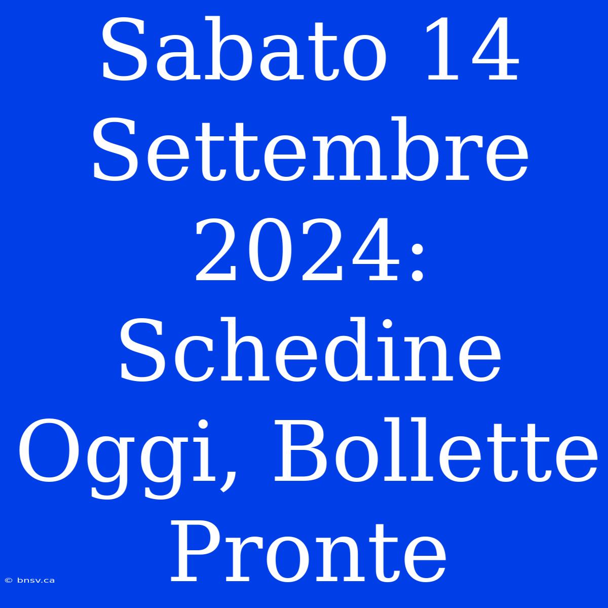 Sabato 14 Settembre 2024: Schedine Oggi, Bollette Pronte