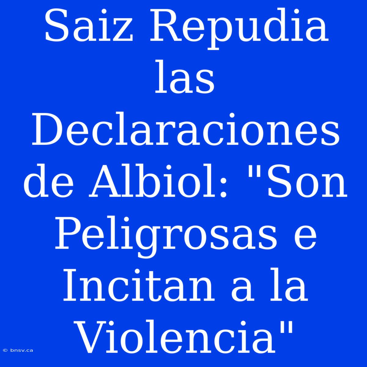 Saiz Repudia Las Declaraciones De Albiol: 