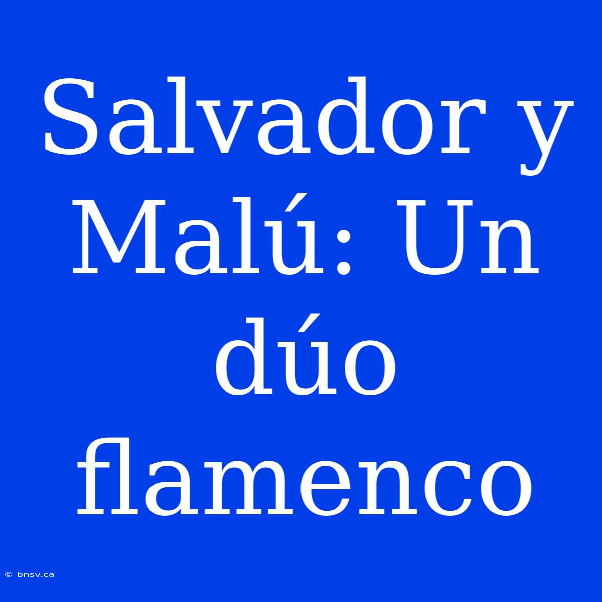 Salvador Y Malú: Un Dúo Flamenco