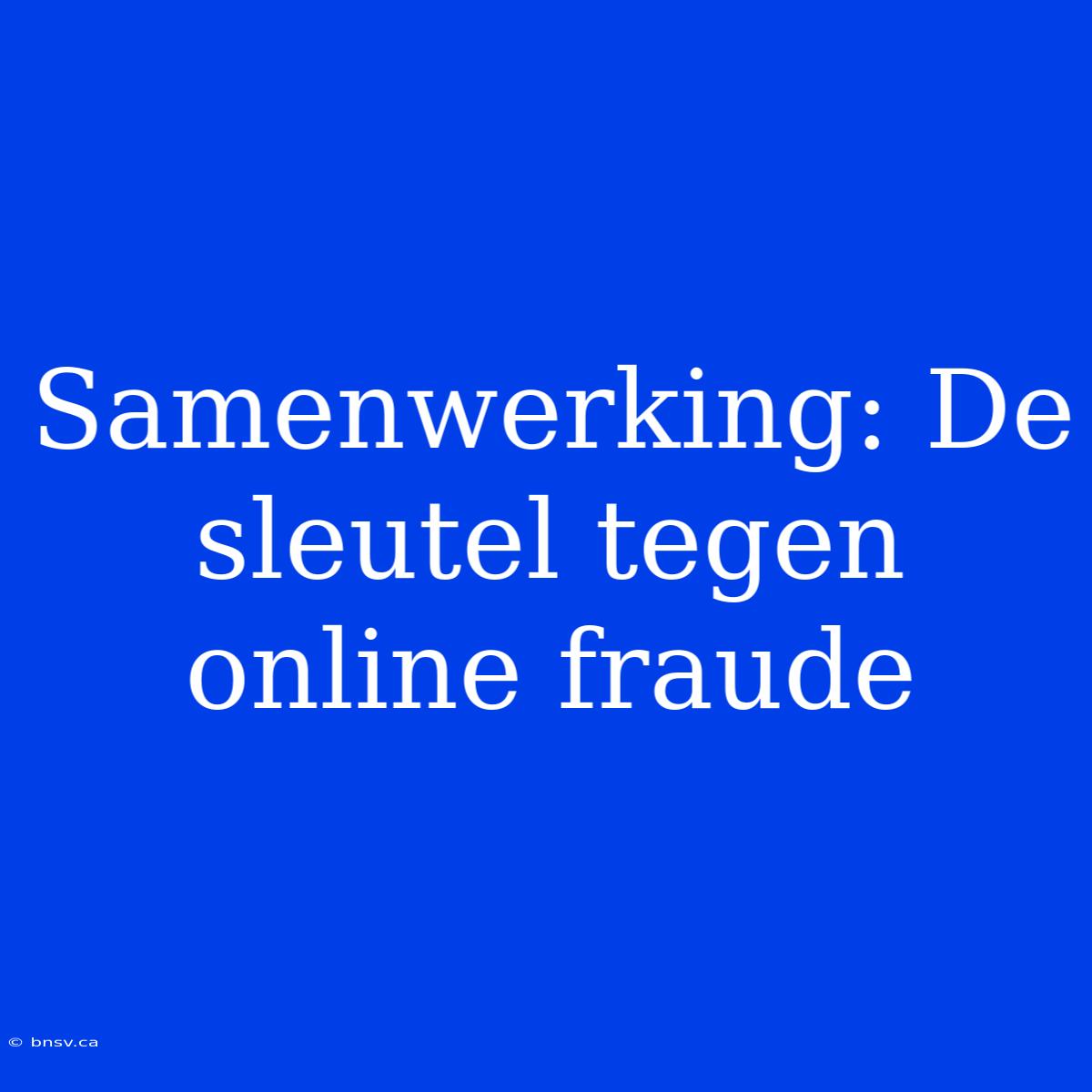 Samenwerking: De Sleutel Tegen Online Fraude