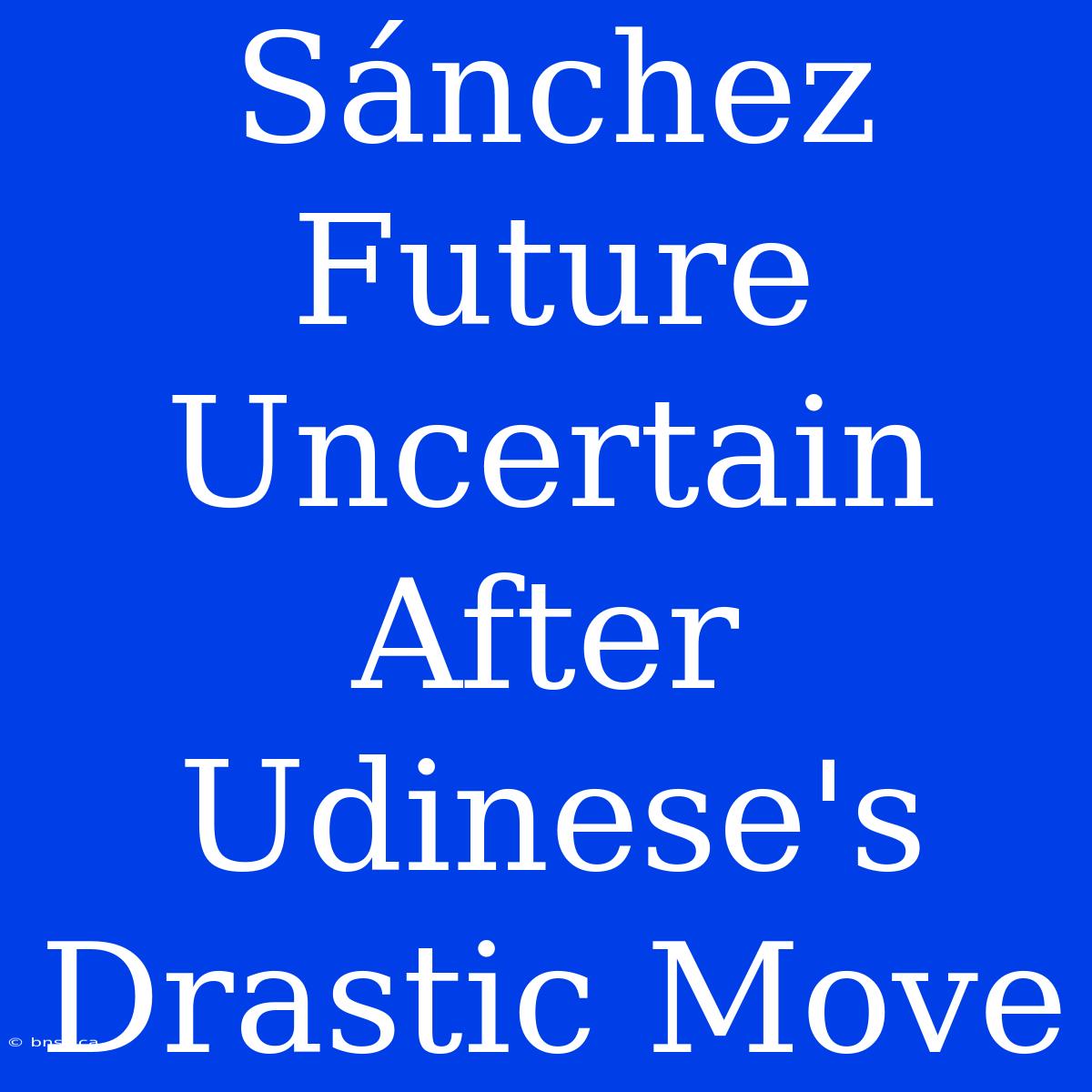 Sánchez Future Uncertain After Udinese's Drastic Move