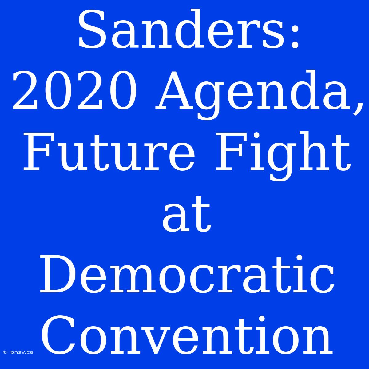 Sanders: 2020 Agenda, Future Fight At Democratic Convention