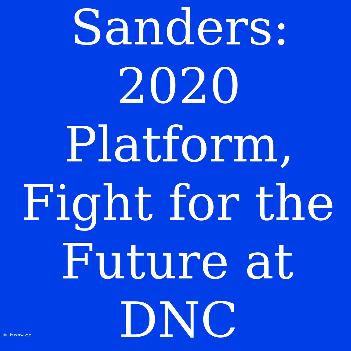 Sanders: 2020 Platform, Fight For The Future At DNC