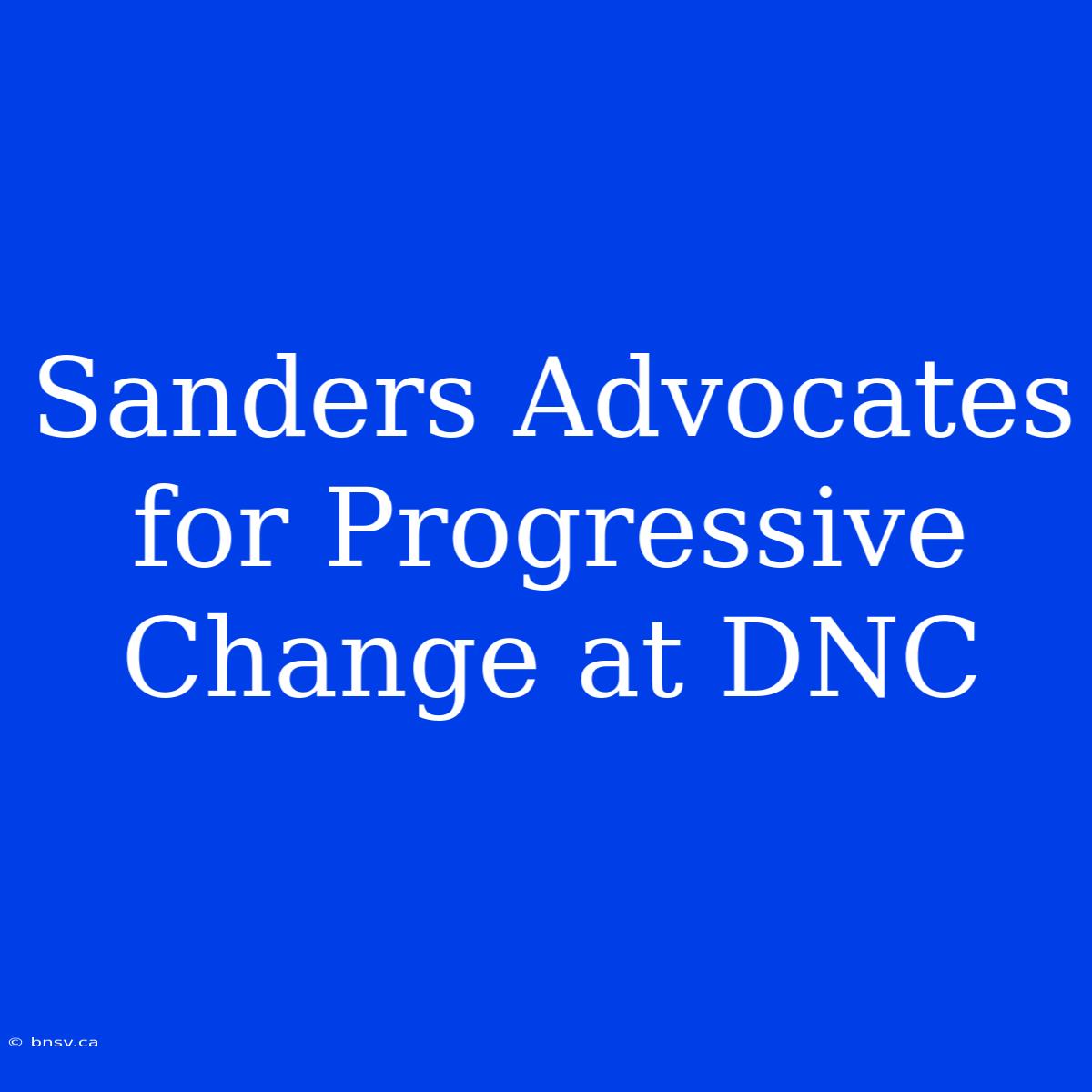 Sanders Advocates For Progressive Change At DNC