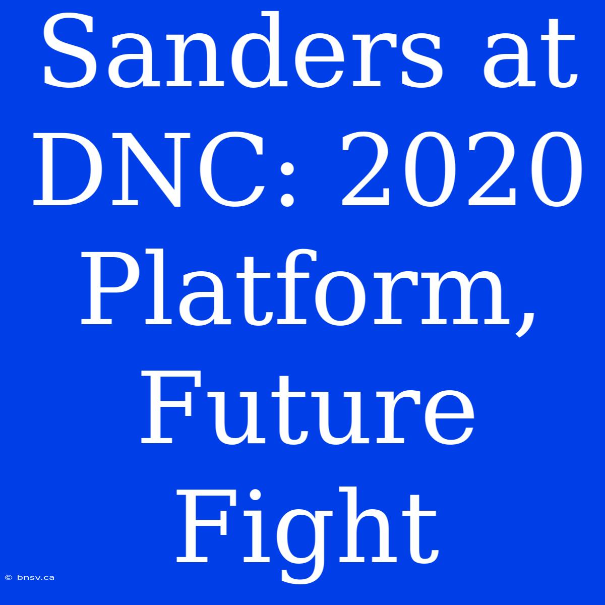 Sanders At DNC: 2020 Platform, Future Fight