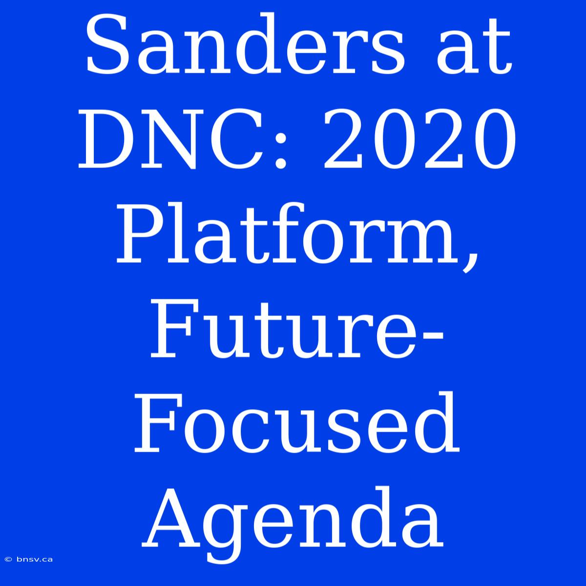 Sanders At DNC: 2020 Platform, Future-Focused Agenda