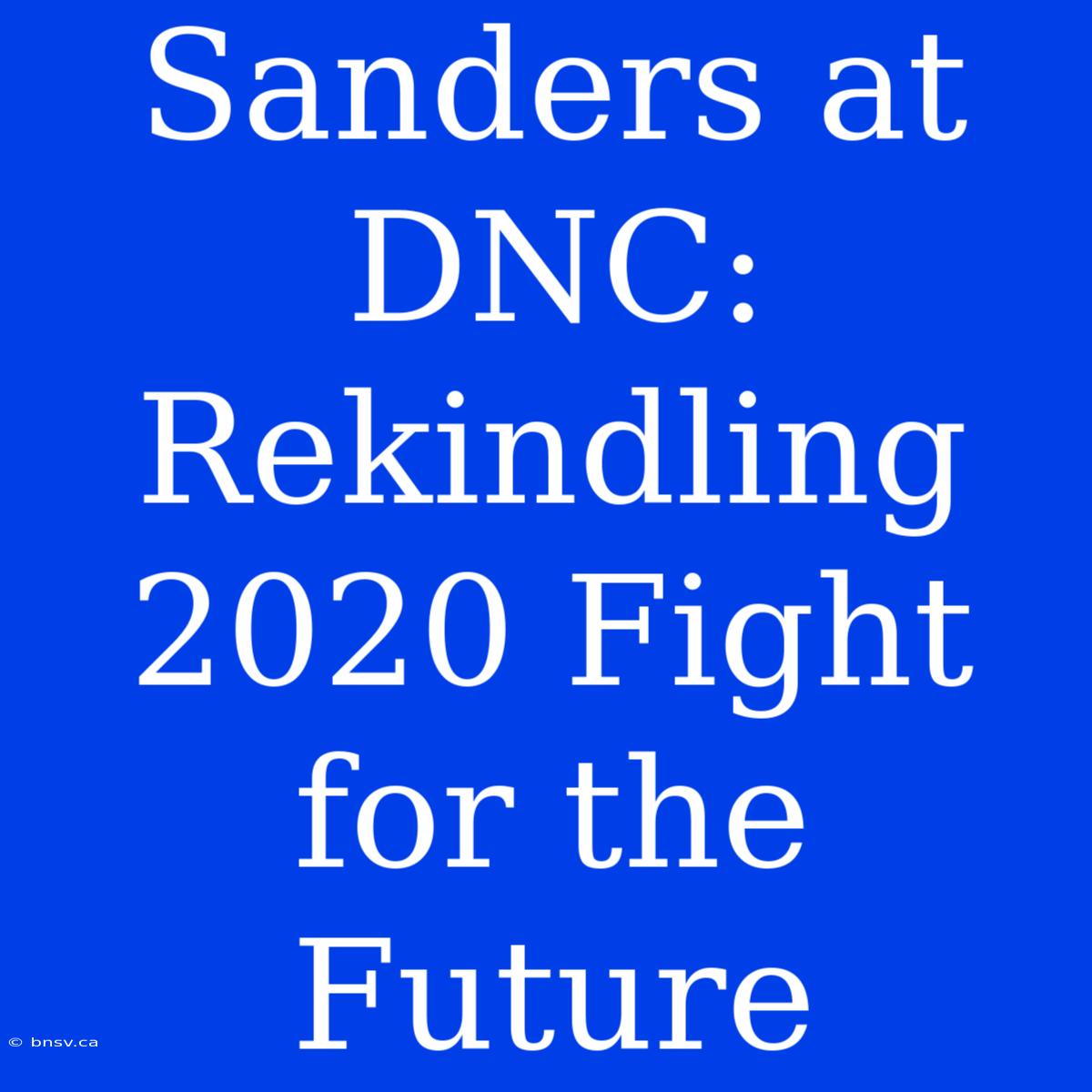 Sanders At DNC: Rekindling 2020 Fight For The Future