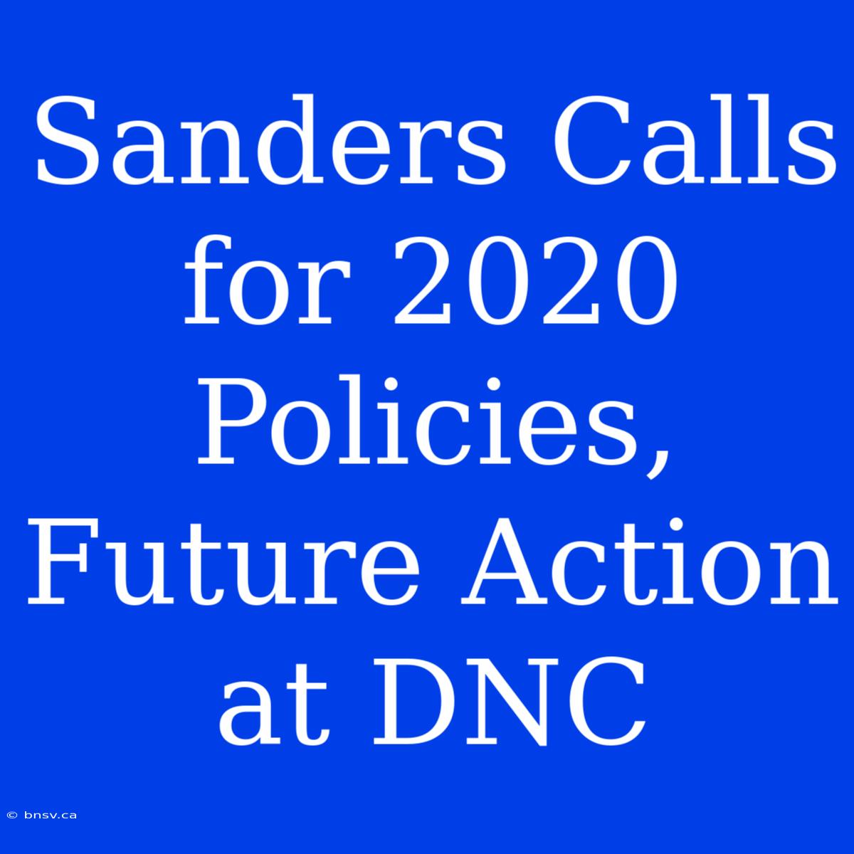 Sanders Calls For 2020 Policies, Future Action At DNC