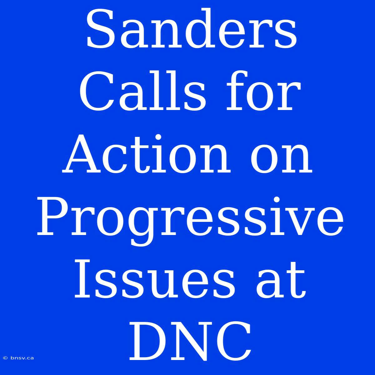 Sanders Calls For Action On Progressive Issues At DNC