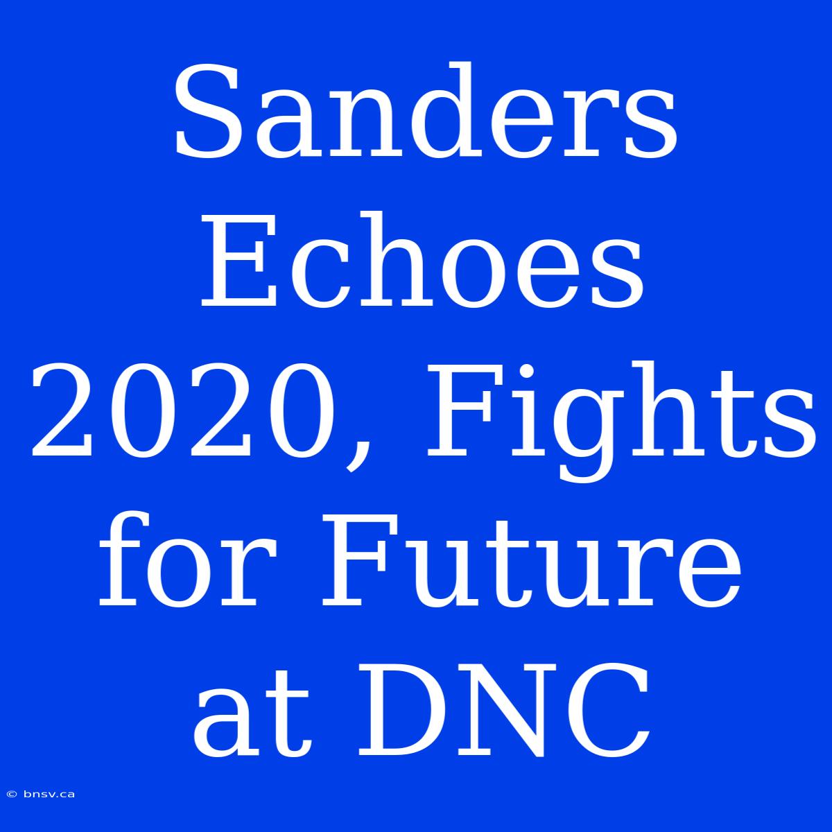 Sanders Echoes 2020, Fights For Future At DNC