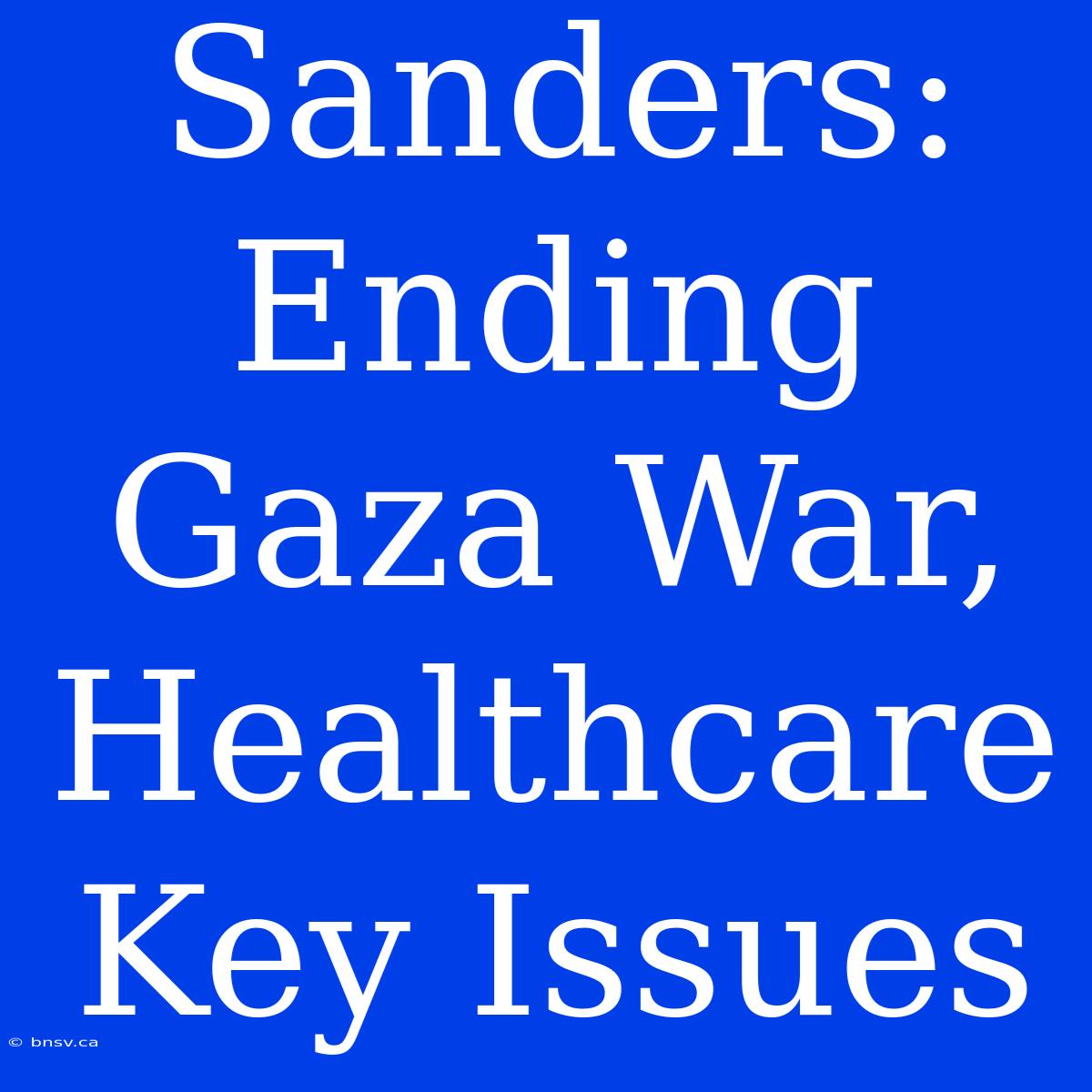 Sanders: Ending Gaza War, Healthcare Key Issues