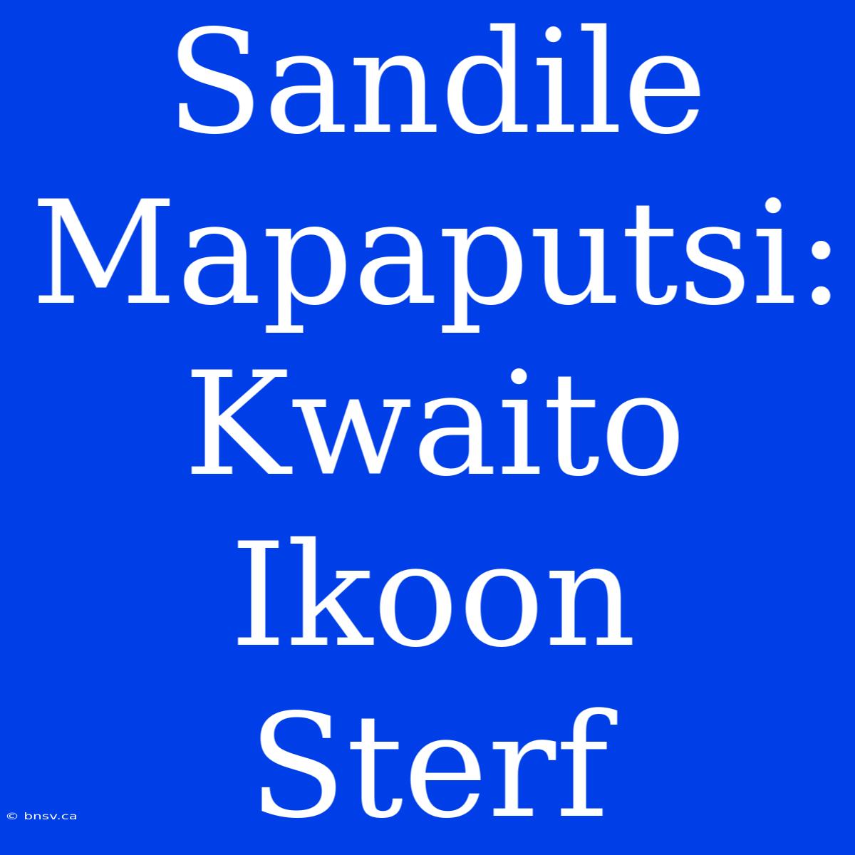 Sandile Mapaputsi: Kwaito Ikoon Sterf