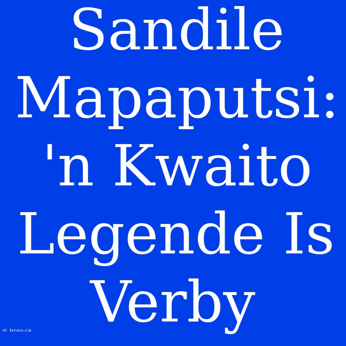 Sandile Mapaputsi: 'n Kwaito Legende Is Verby