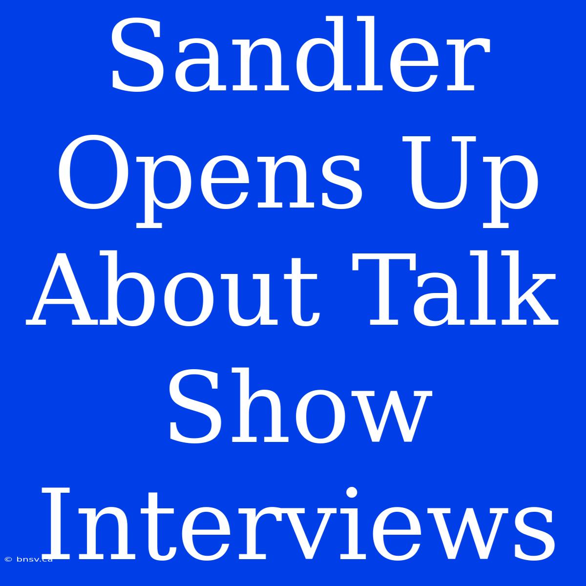 Sandler Opens Up About Talk Show Interviews