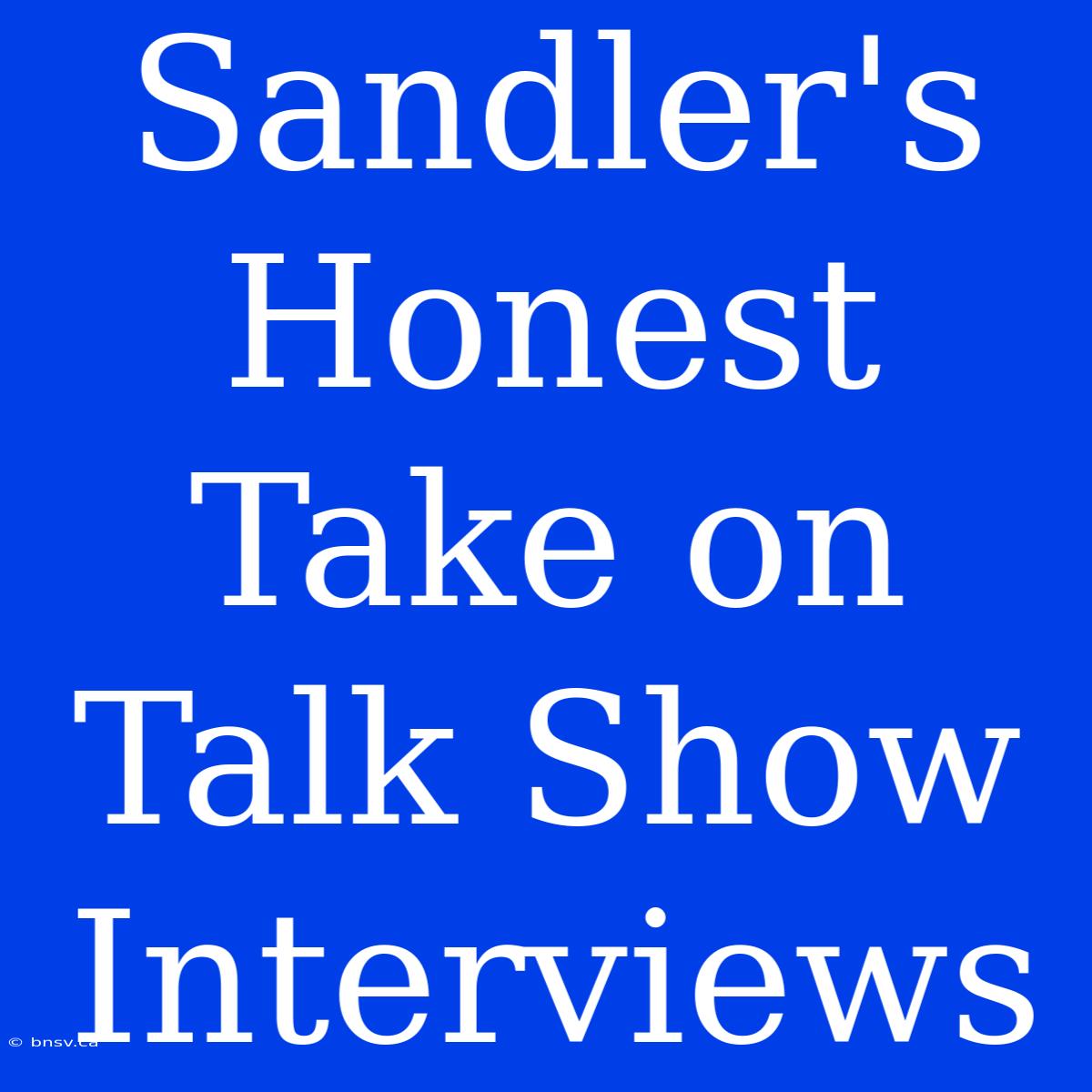 Sandler's Honest Take On Talk Show Interviews