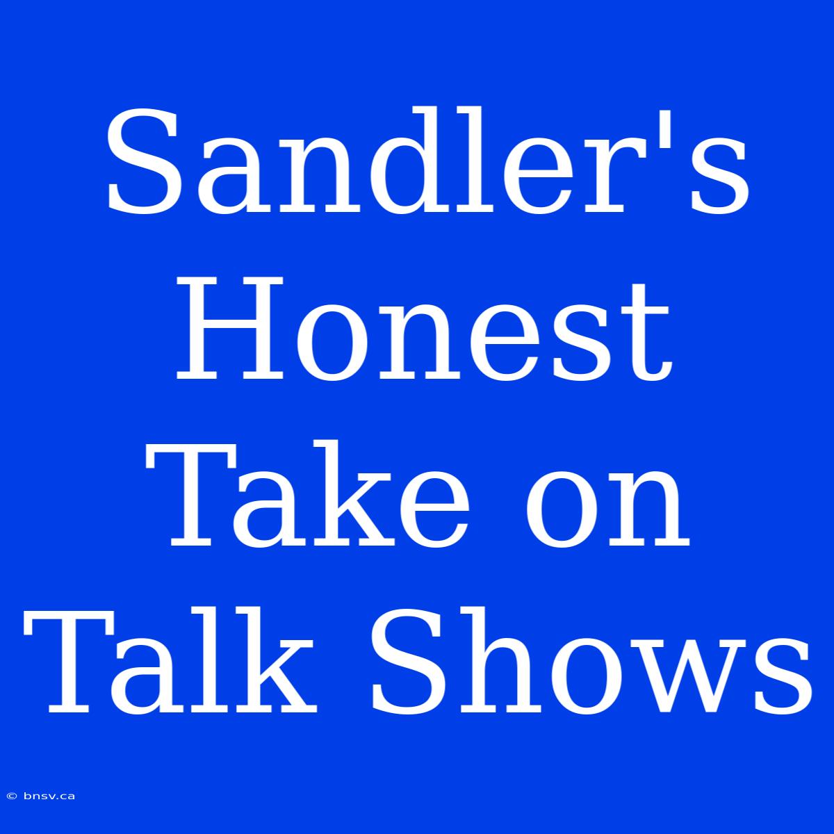 Sandler's Honest Take On Talk Shows