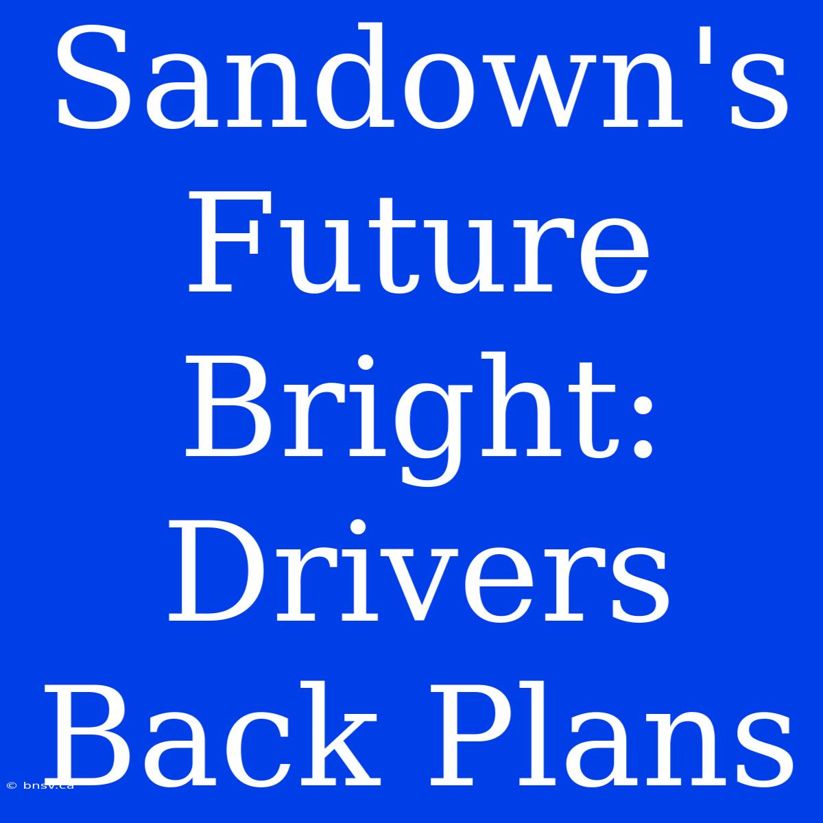 Sandown's Future Bright: Drivers  Back Plans