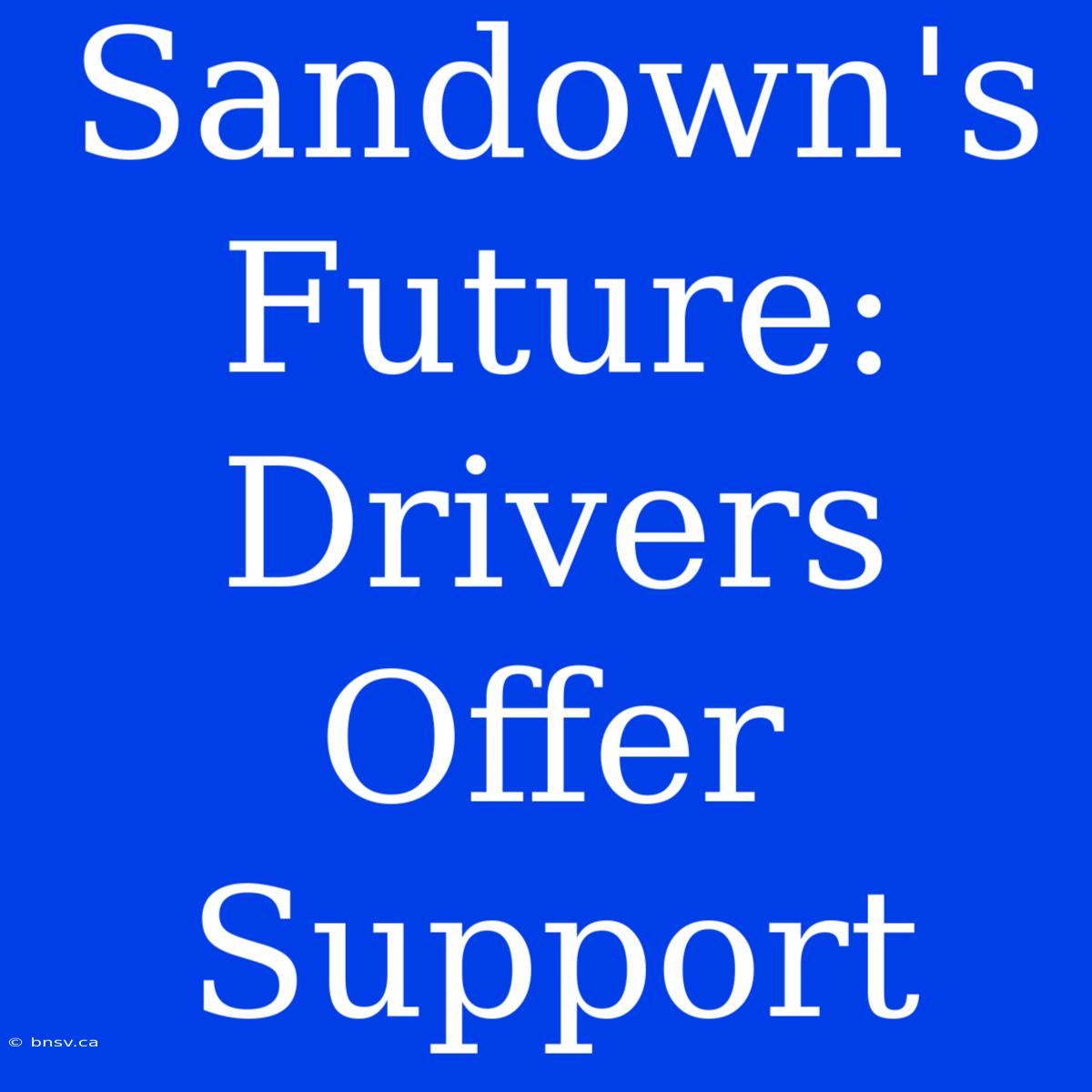 Sandown's Future: Drivers Offer Support