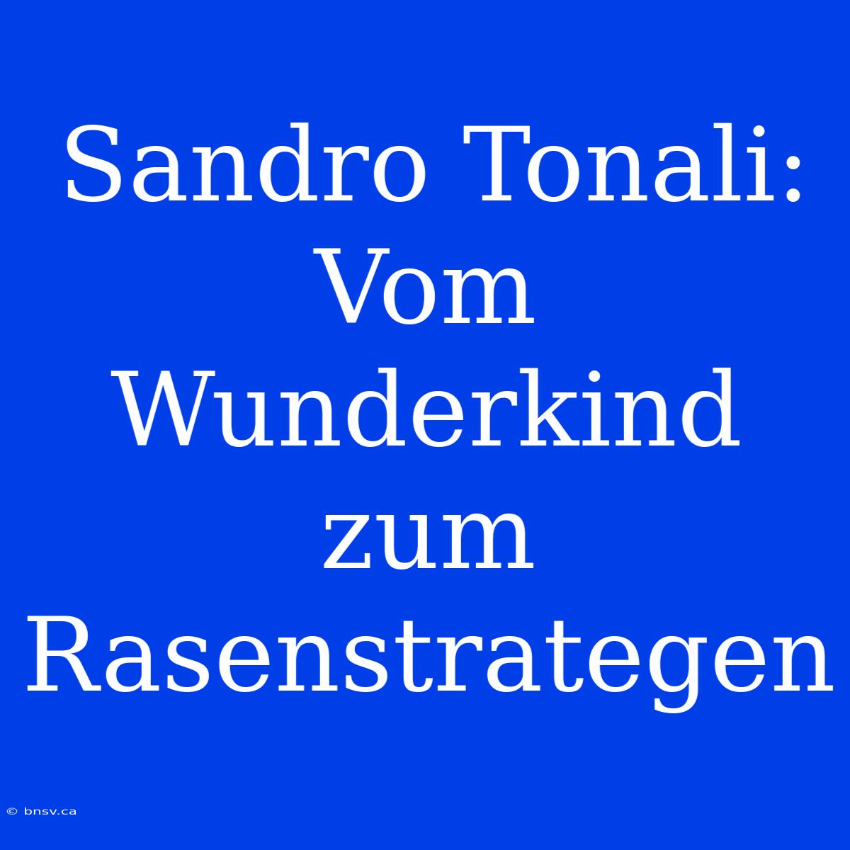 Sandro Tonali: Vom Wunderkind Zum Rasenstrategen