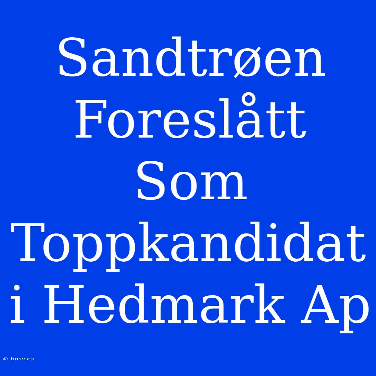 Sandtrøen Foreslått Som Toppkandidat I Hedmark Ap