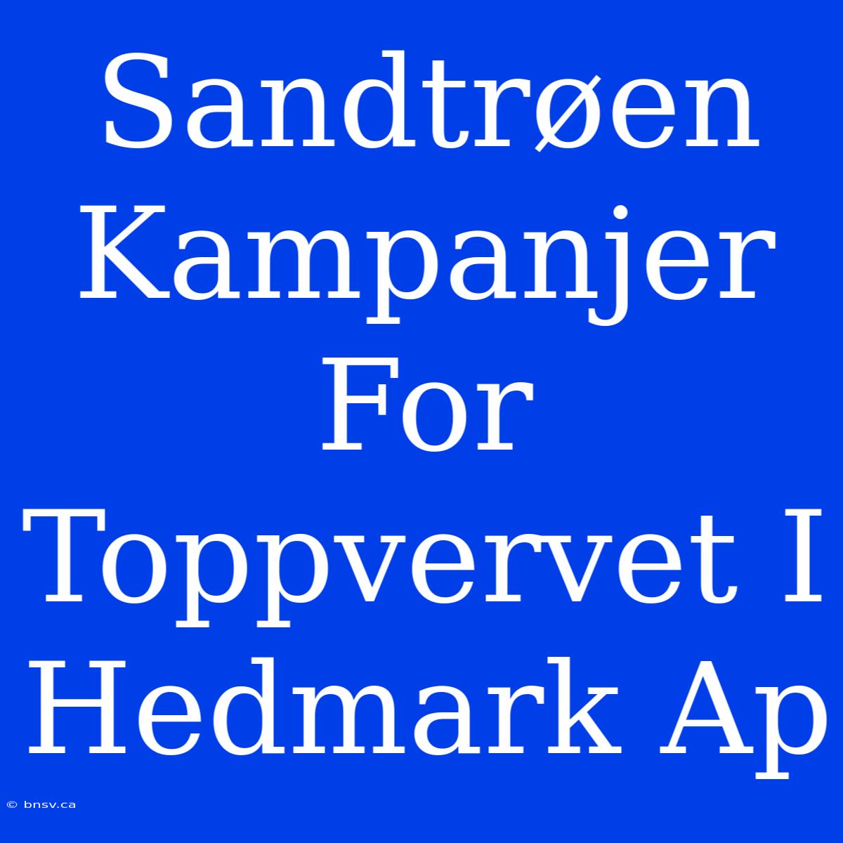 Sandtrøen Kampanjer For Toppvervet I Hedmark Ap