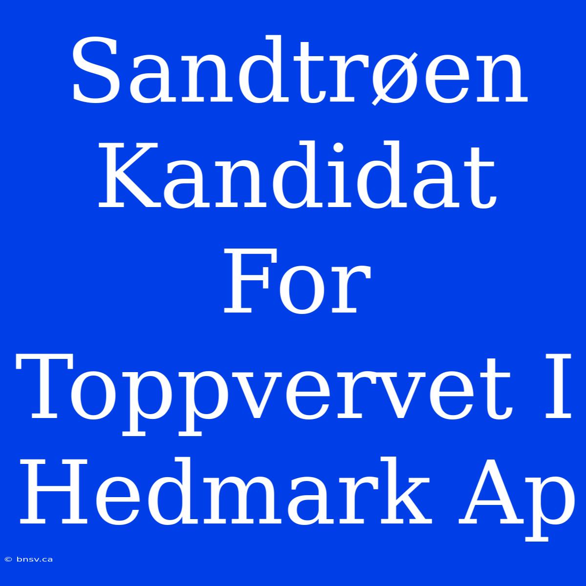 Sandtrøen Kandidat For Toppvervet I Hedmark Ap