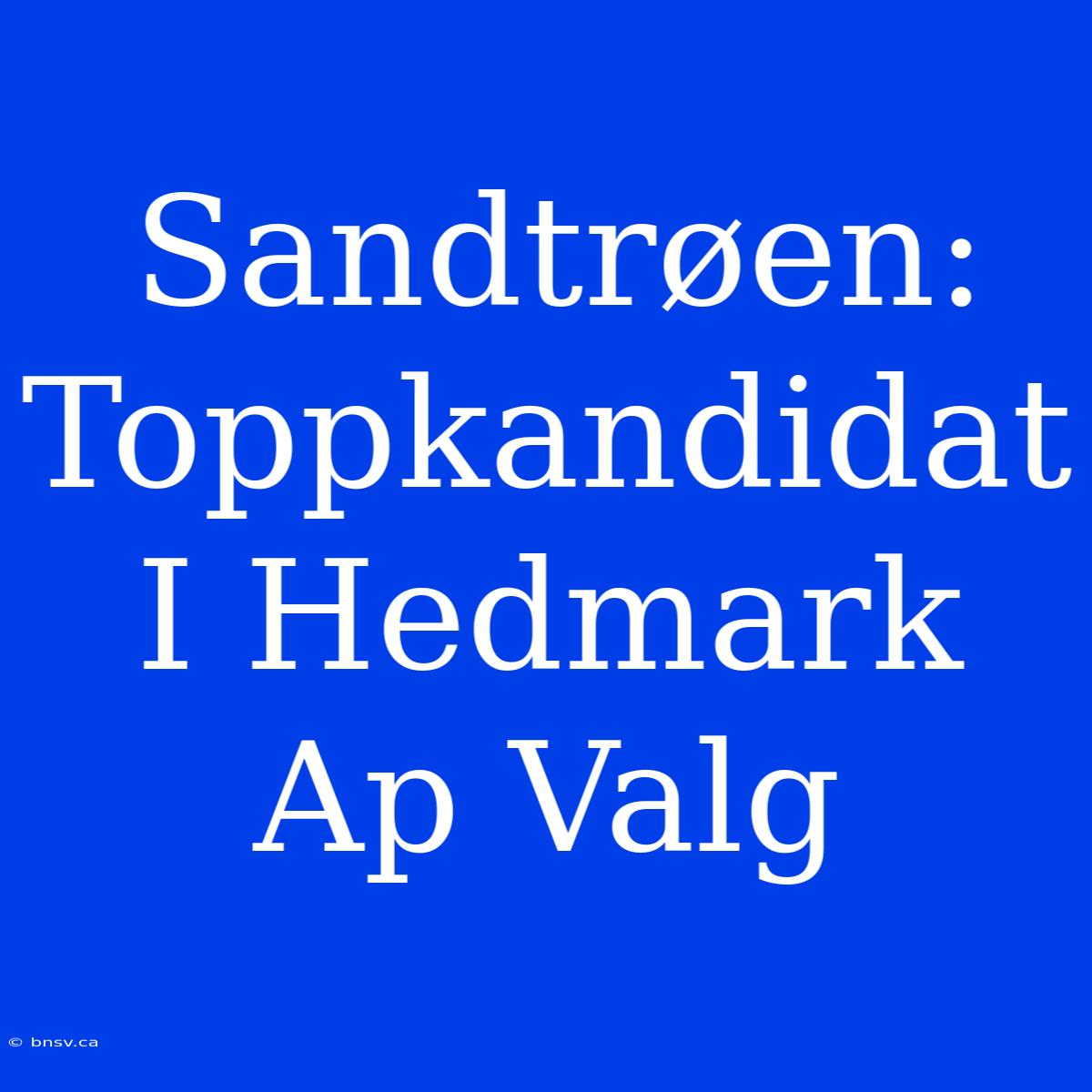 Sandtrøen: Toppkandidat I Hedmark Ap Valg