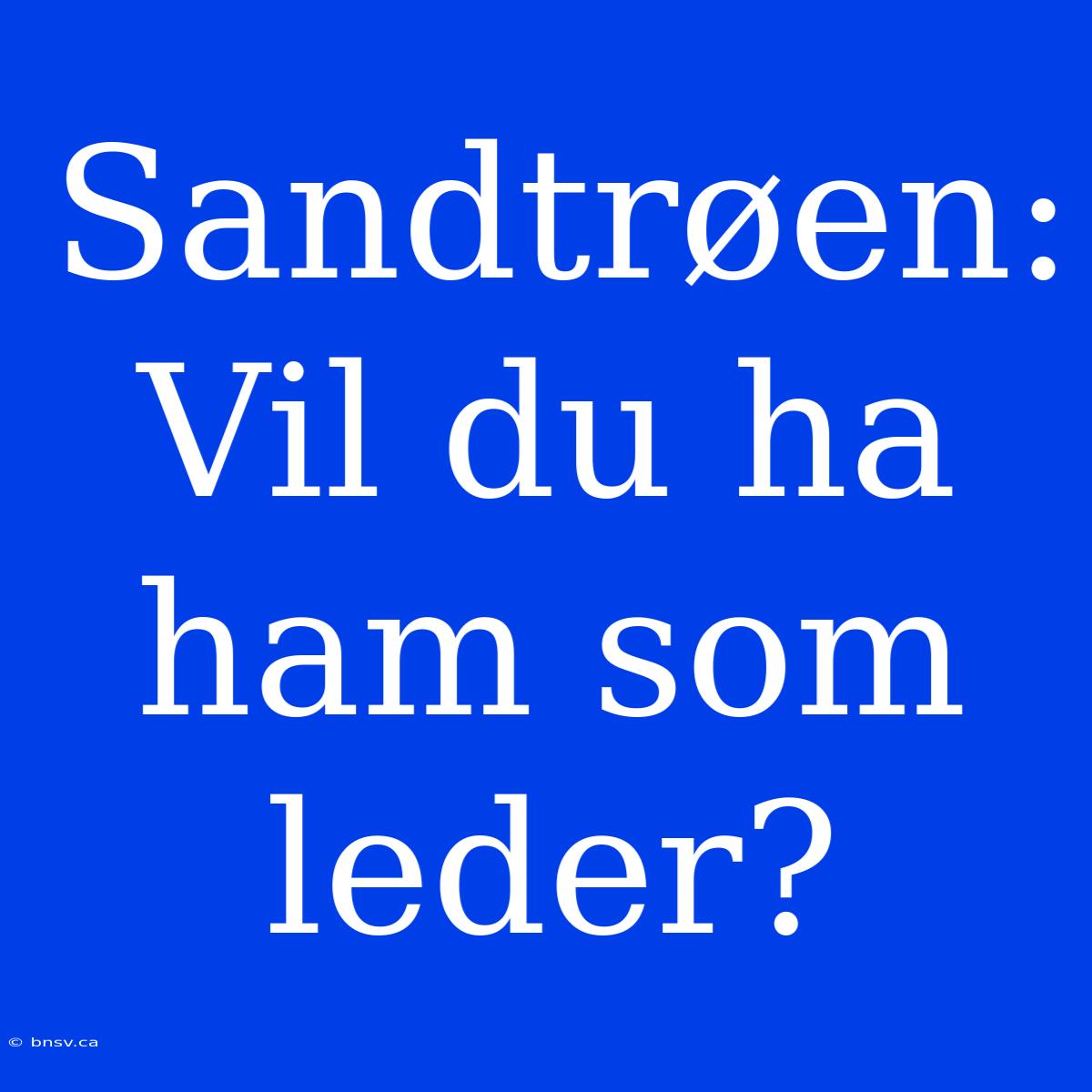 Sandtrøen: Vil Du Ha Ham Som Leder?