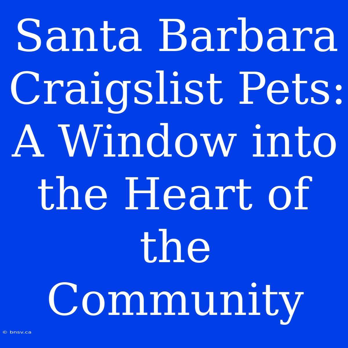 Santa Barbara Craigslist Pets: A Window Into The Heart Of The Community