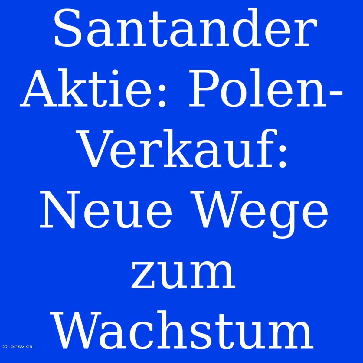 Santander Aktie: Polen-Verkauf: Neue Wege Zum Wachstum