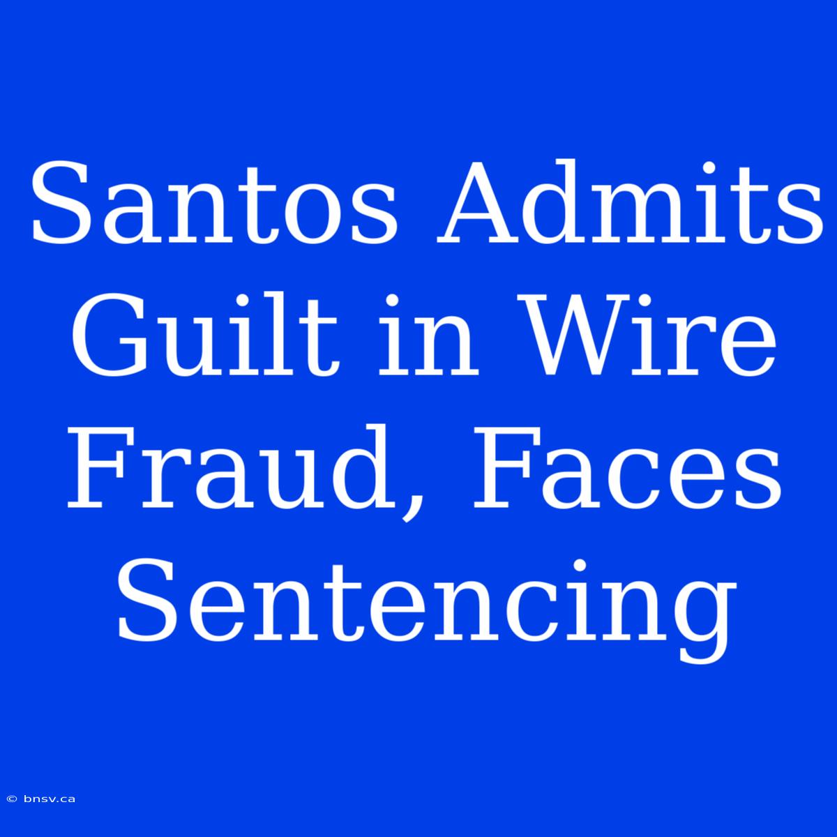 Santos Admits Guilt In Wire Fraud, Faces Sentencing