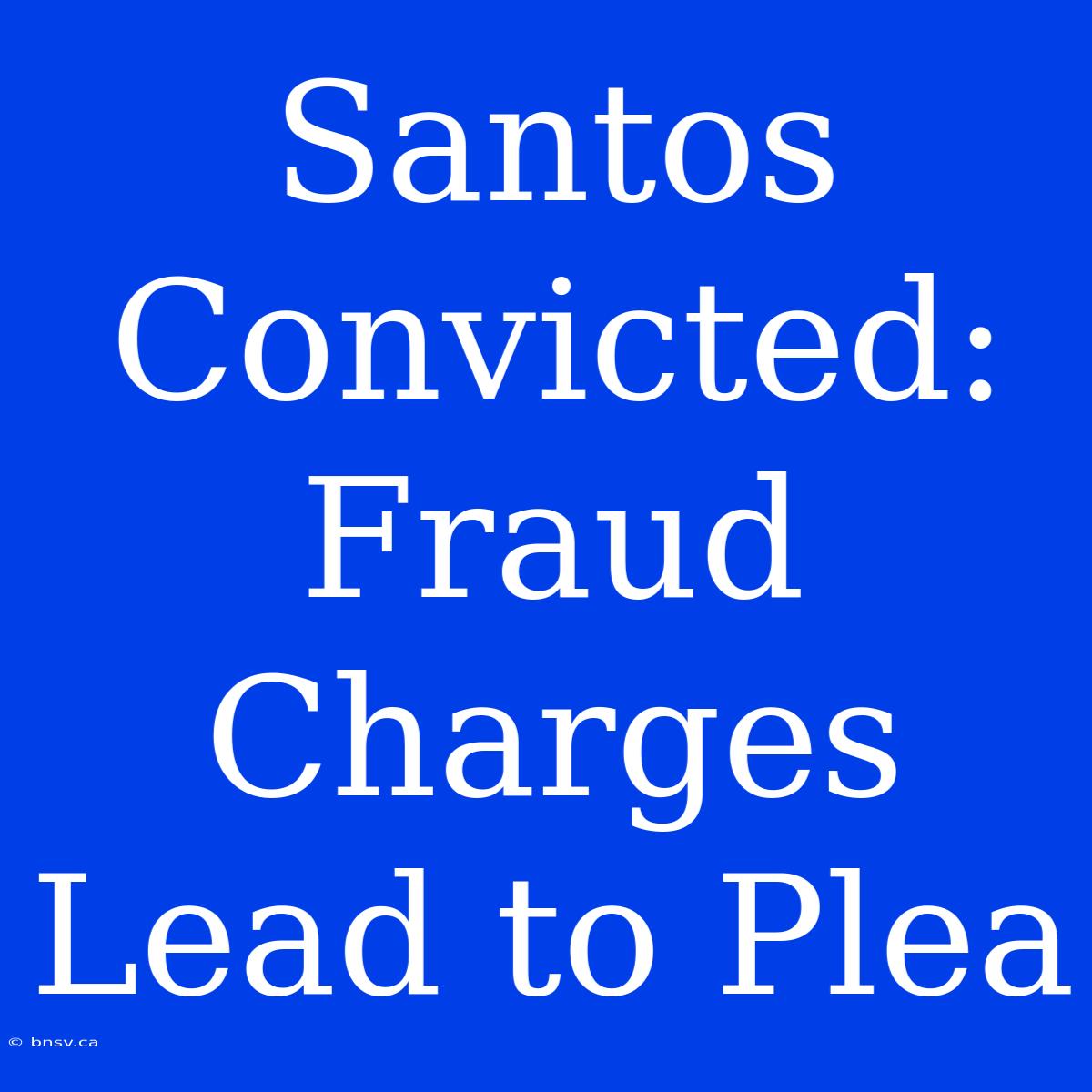 Santos Convicted: Fraud Charges Lead To Plea