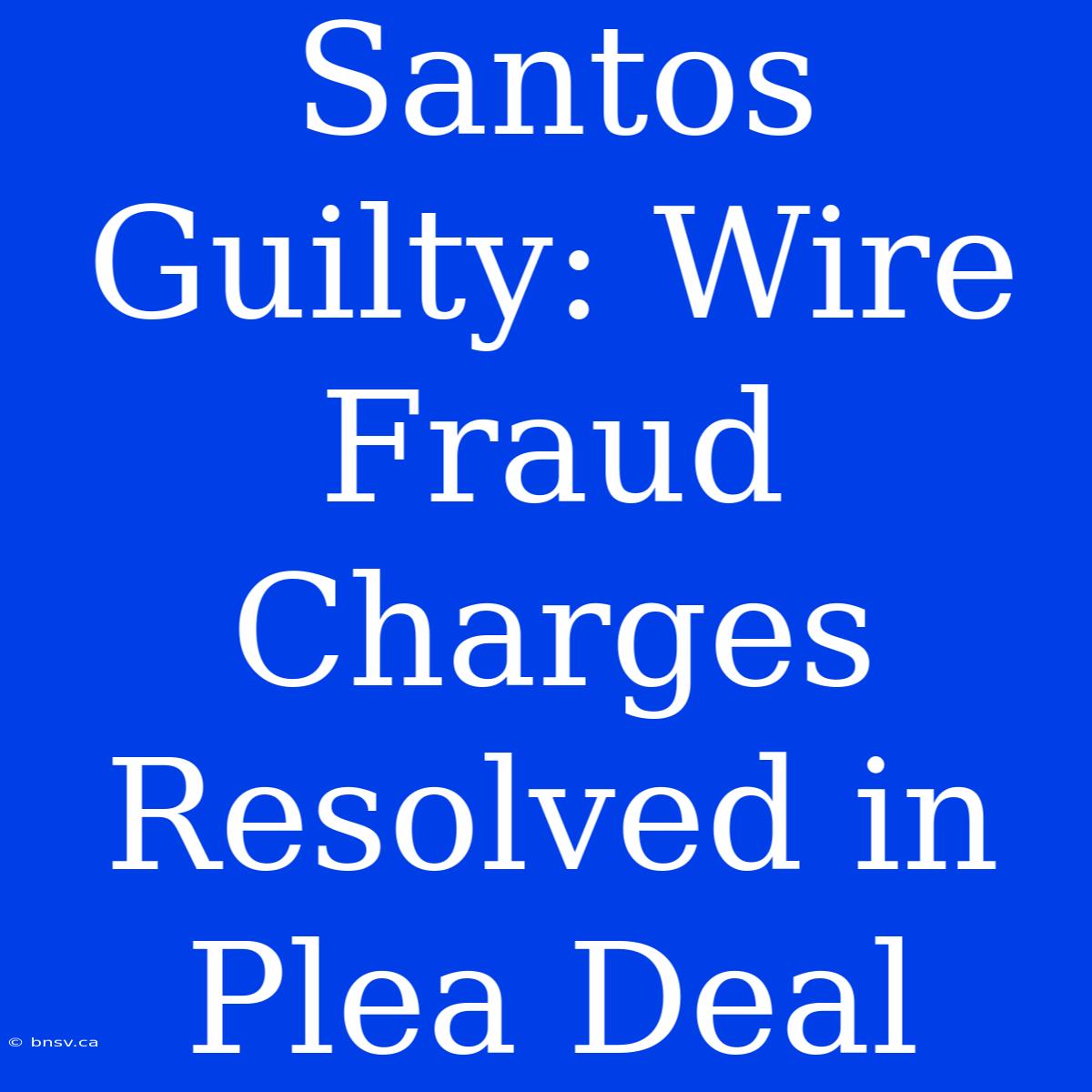 Santos Guilty: Wire Fraud Charges Resolved In Plea Deal