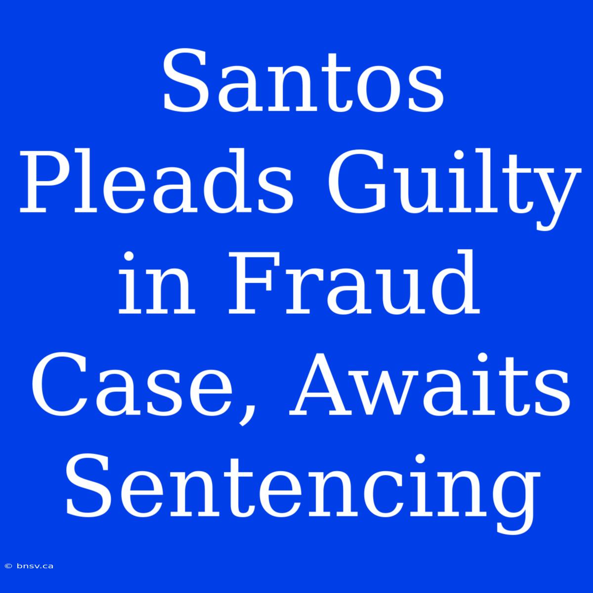 Santos Pleads Guilty In Fraud Case, Awaits Sentencing