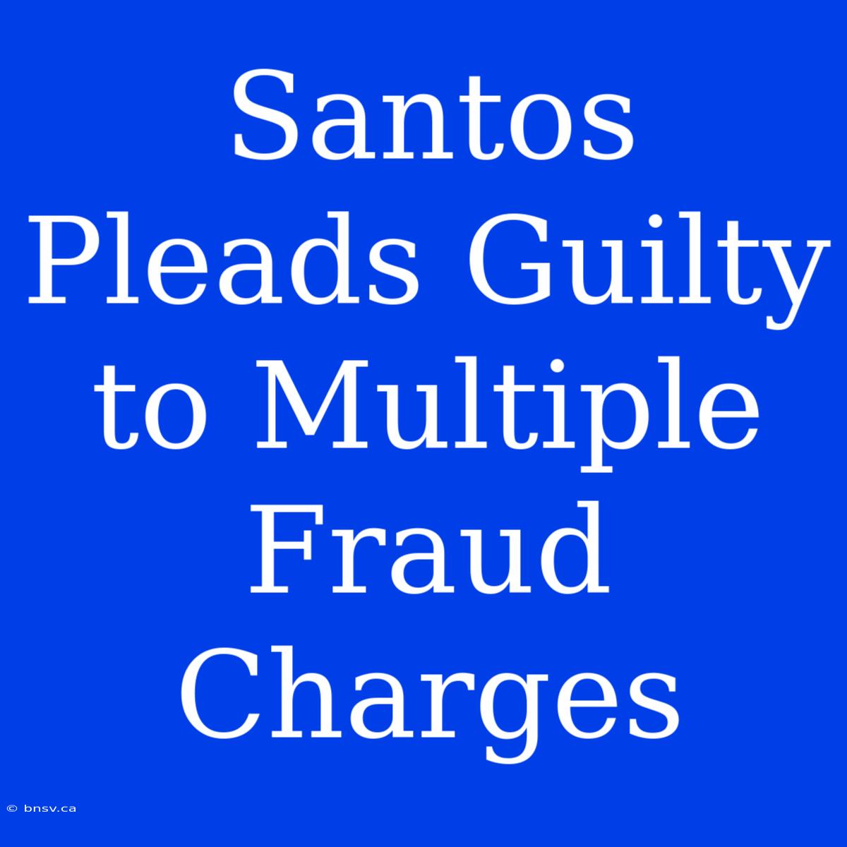 Santos Pleads Guilty To Multiple Fraud Charges